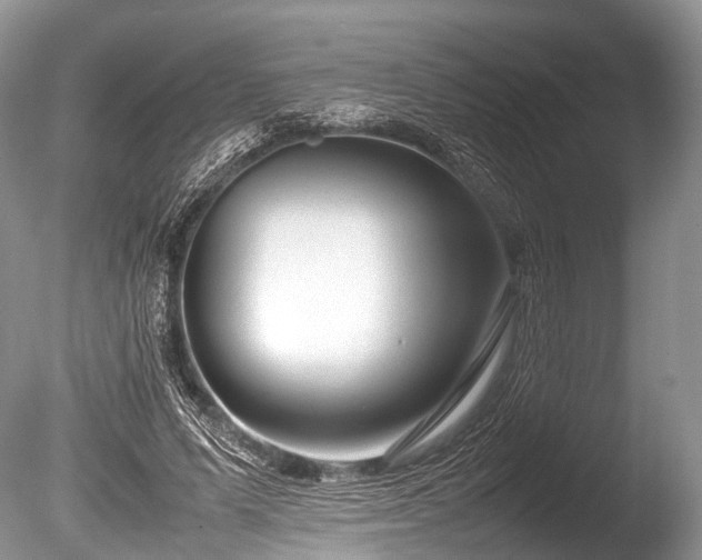 X0000086040591200703301041