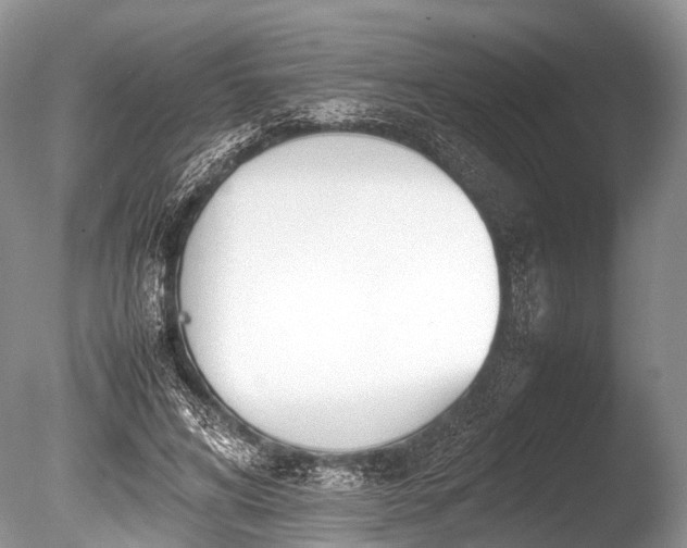 X0000086040592200703301041