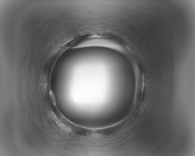 X0000086040593200703301041