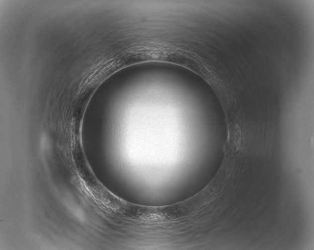 X0000086040594200703301041