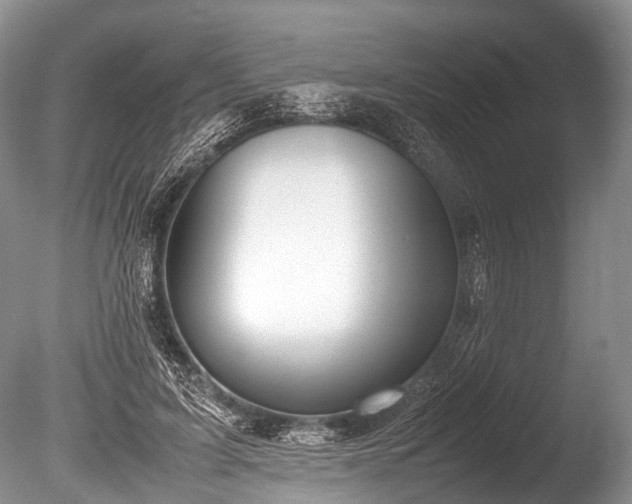 X0000086040595200703301041