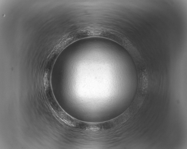 X0000086040598200703301041