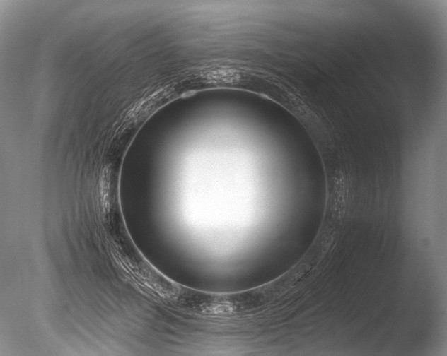 X0000086040600200703301041