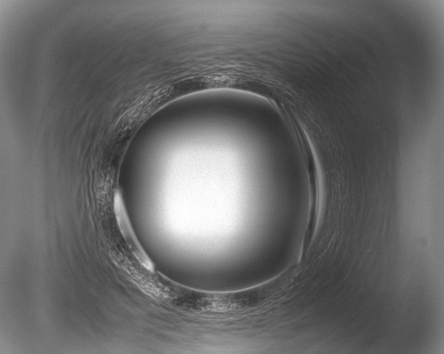 X0000086040601200703301041