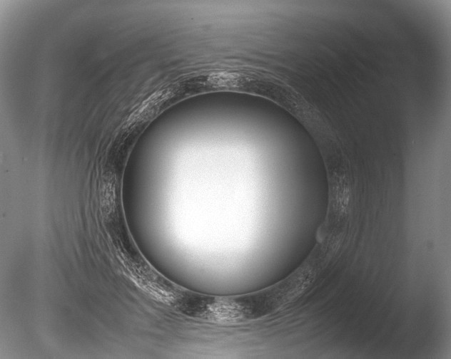 X0000086040603200703301041