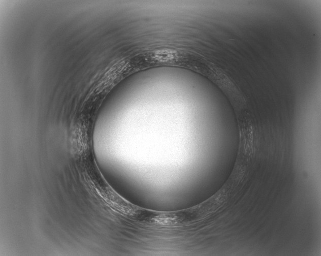 X0000086040606200703301041