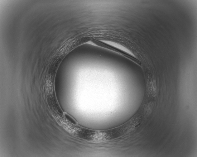 X0000086040609200703301041