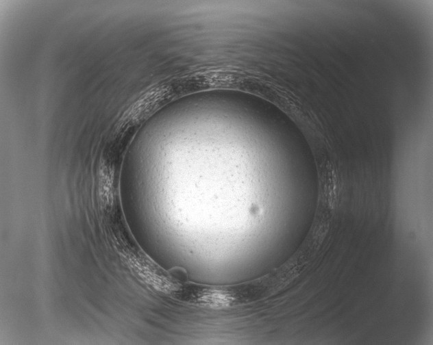 X0000086040610200703301041