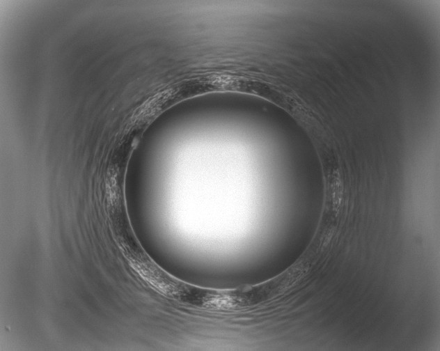 X0000086040611200703301041
