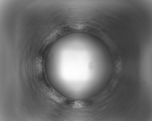 X0000086040612200703301041