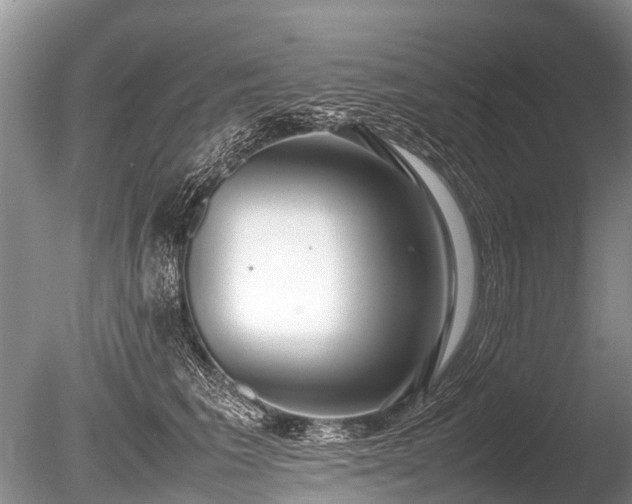 X0000086040613200703301041