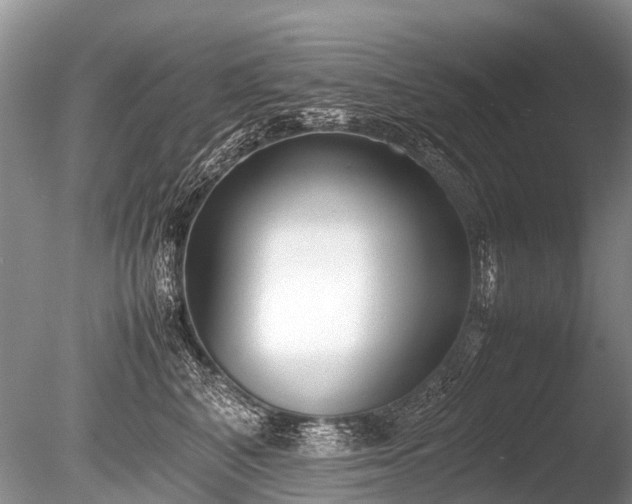 X0000086040616200703301041