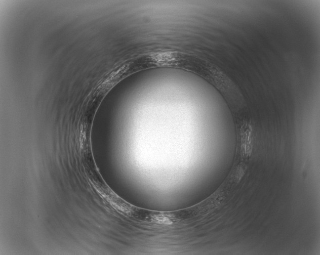 X0000086040618200703301041
