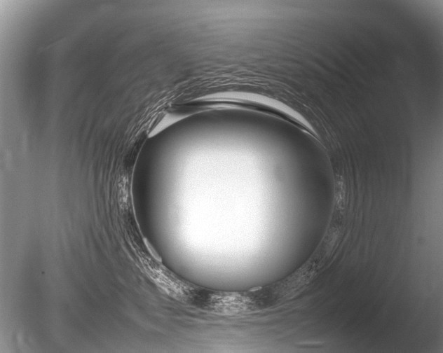 X0000086040621200703301041