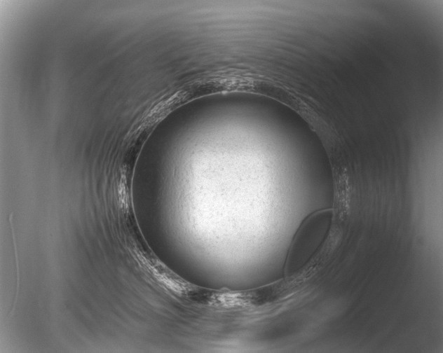 X0000086040622200703301041