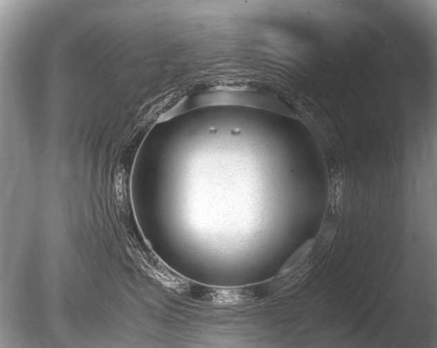 X0000086040623200703301041