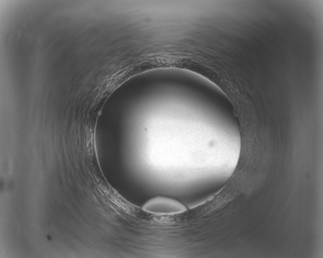 X0000086040624200703301041