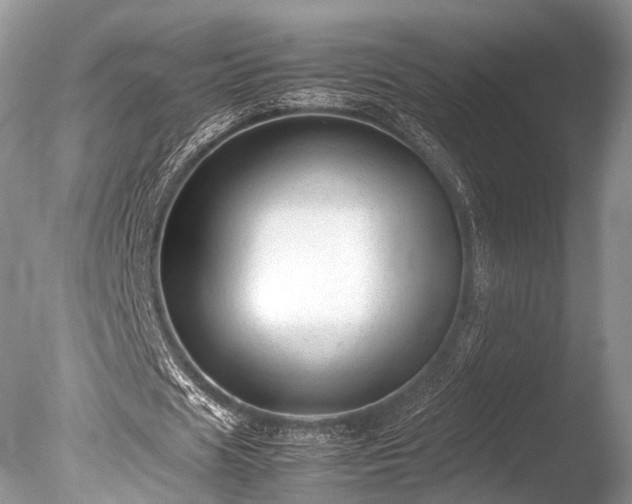 X0000086040625200703301040