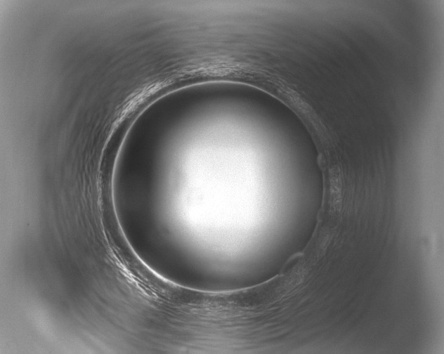 X0000086040626200703301040