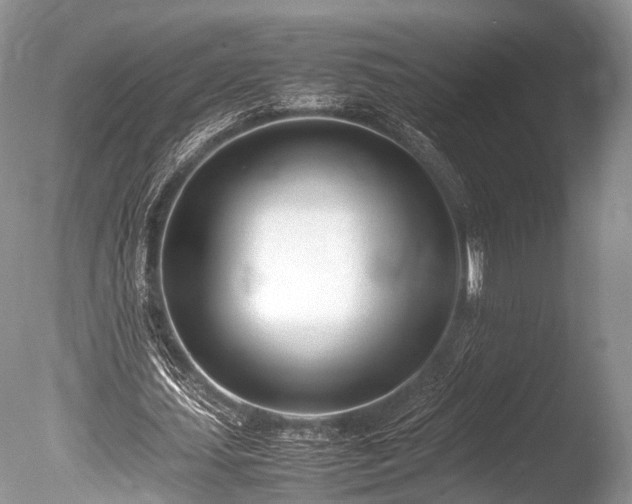 X0000086040627200703301040