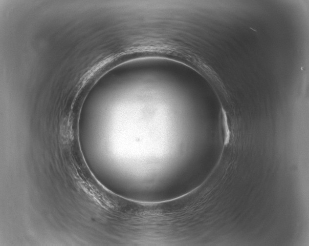 X0000086040628200703301040
