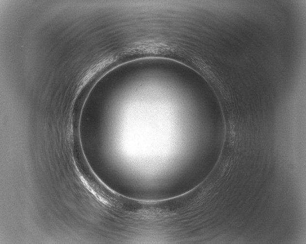 X0000086040630200703301040