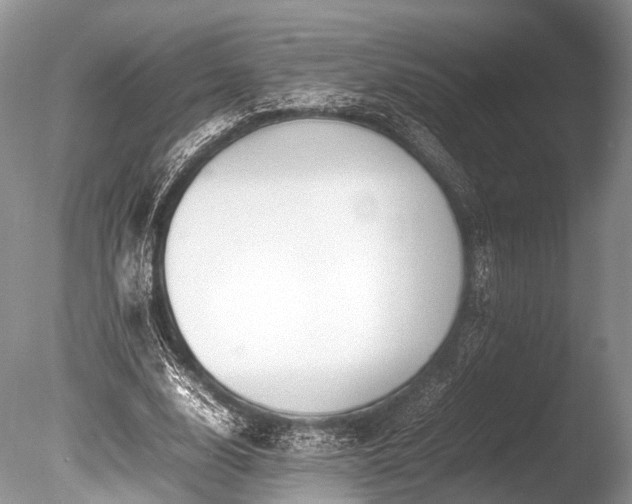 X0000086040632200703301040
