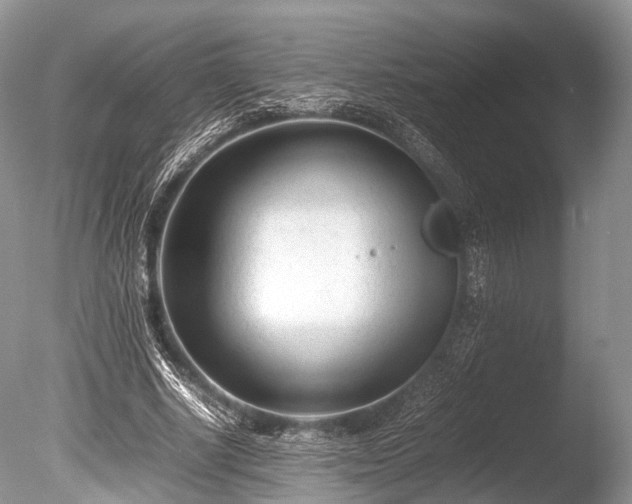 X0000086040634200703301040