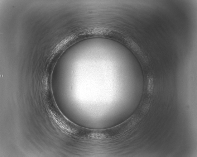 X0000086040636200703301040