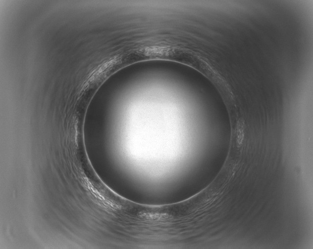 X0000086040637200703301040