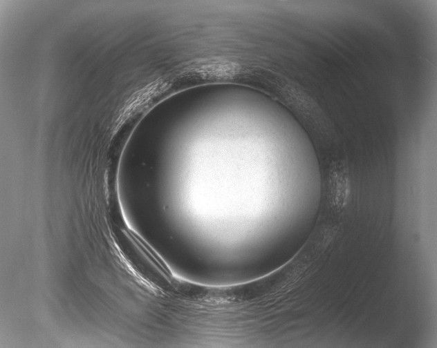 X0000086040638200703301040