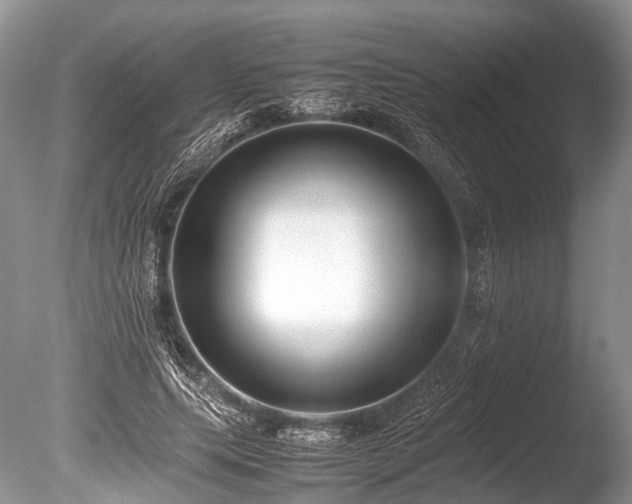 X0000086040639200703301040