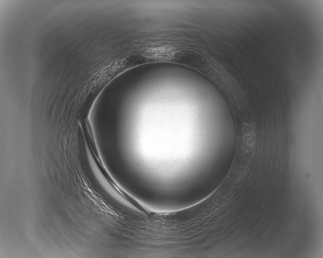X0000086040641200703301040