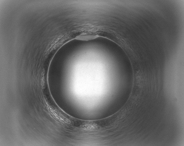 X0000086040642200703301040