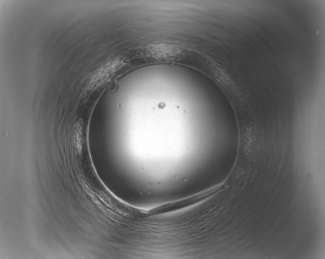 X0000086040644200703301040