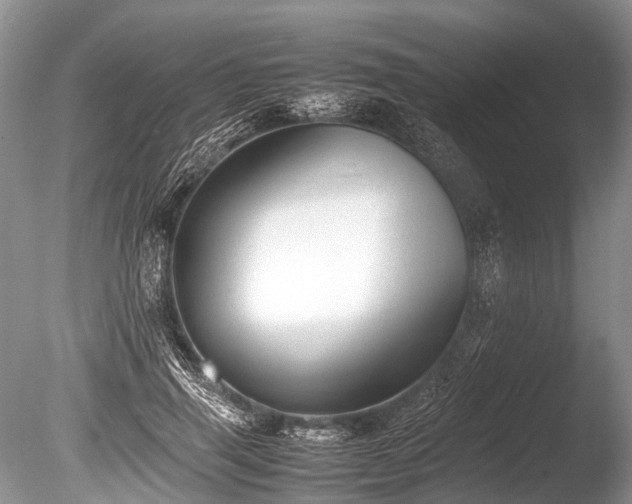 X0000086040645200703301040