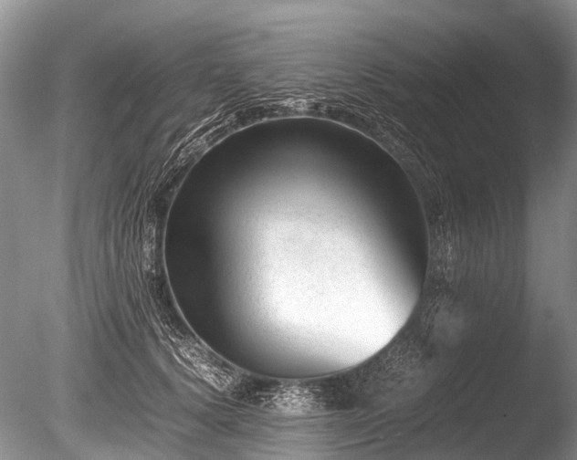 X0000086040656200703301041