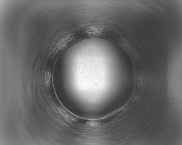 X0000086040660200703301041
