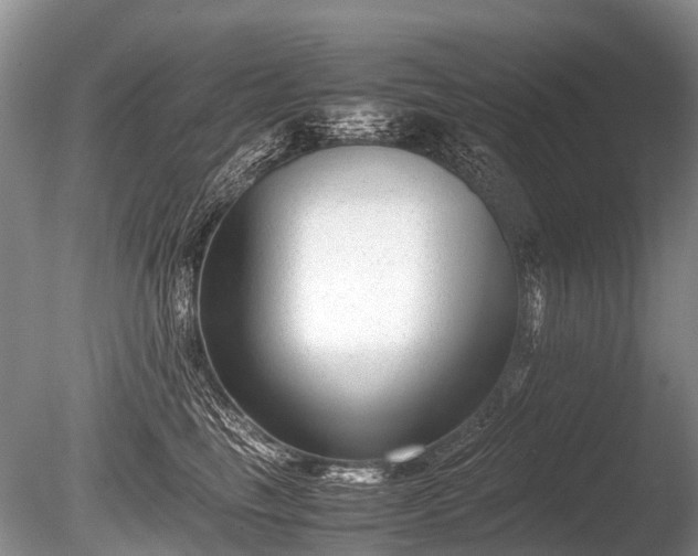 X0000086040665200703301041