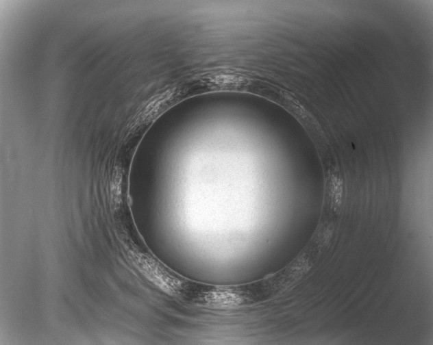 X0000086040668200703301041