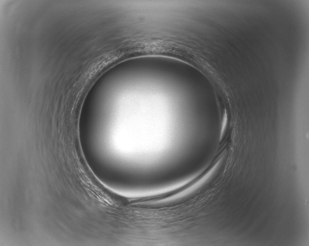 X0000086040673200703301040