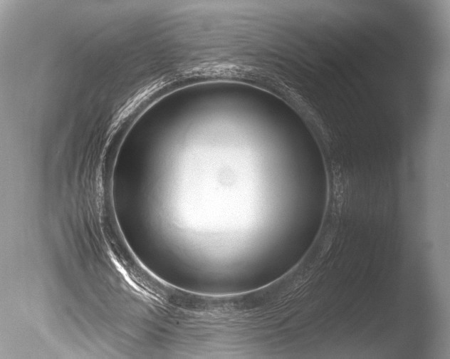 X0000086040674200703301040