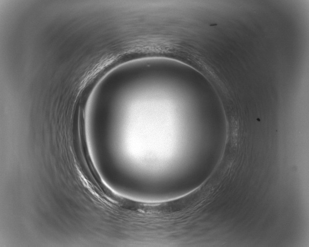 X0000086040677200703301040