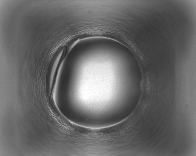 X0000086040681200703301040
