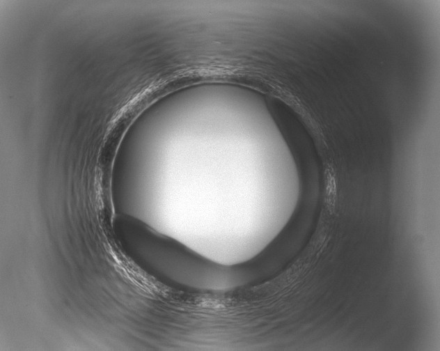 X0000086040684200703301040