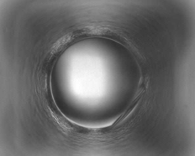 X0000086040685200703301040