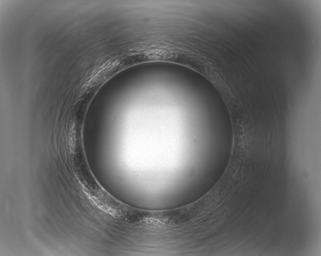 X0000086040690200703301040