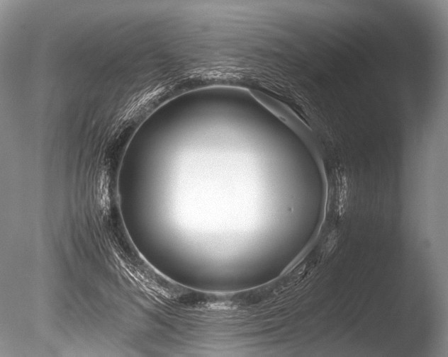 X0000086040692200703301040