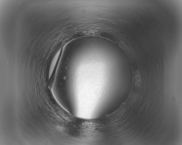 X0000086040699200703301040