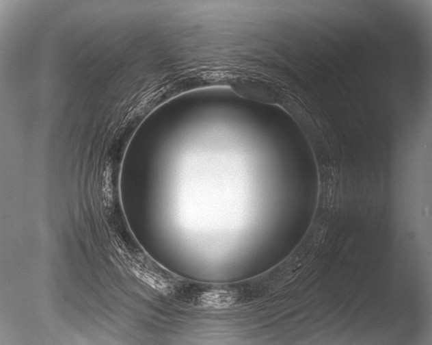 X0000086040700200703301040